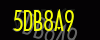 security_code