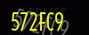 security_code
