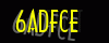 security_code