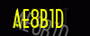 security_code