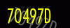 security_code