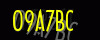 security_code