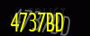 security_code