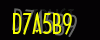 security_code