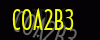 security_code