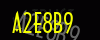 security_code