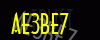 security_code