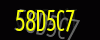 security_code