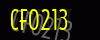security_code