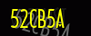 security_code