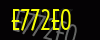 security_code