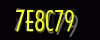 security_code