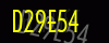 security_code