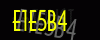 security_code