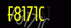 security_code