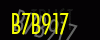 security_code