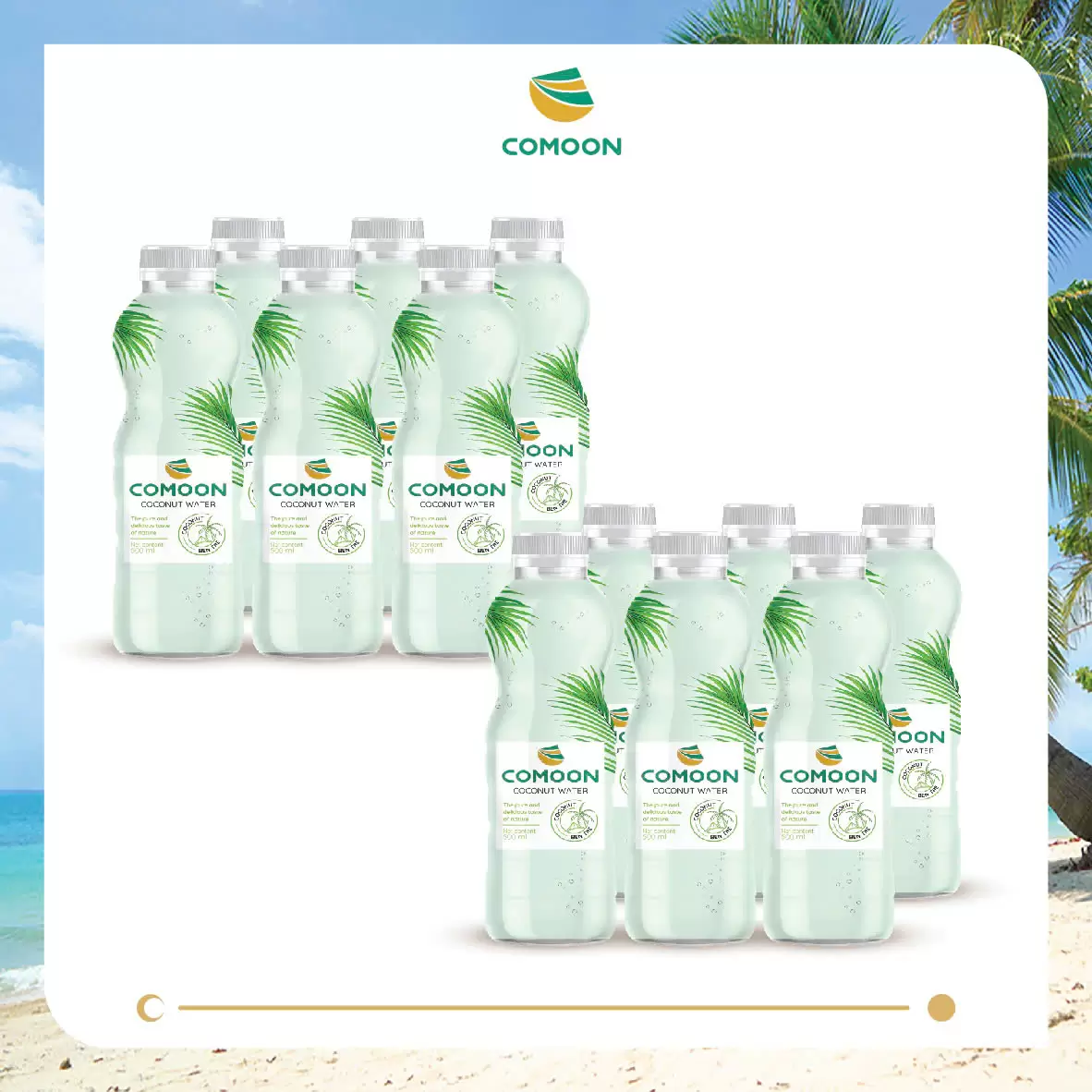 Lốc 12 Chai Nước Dừa COMOON