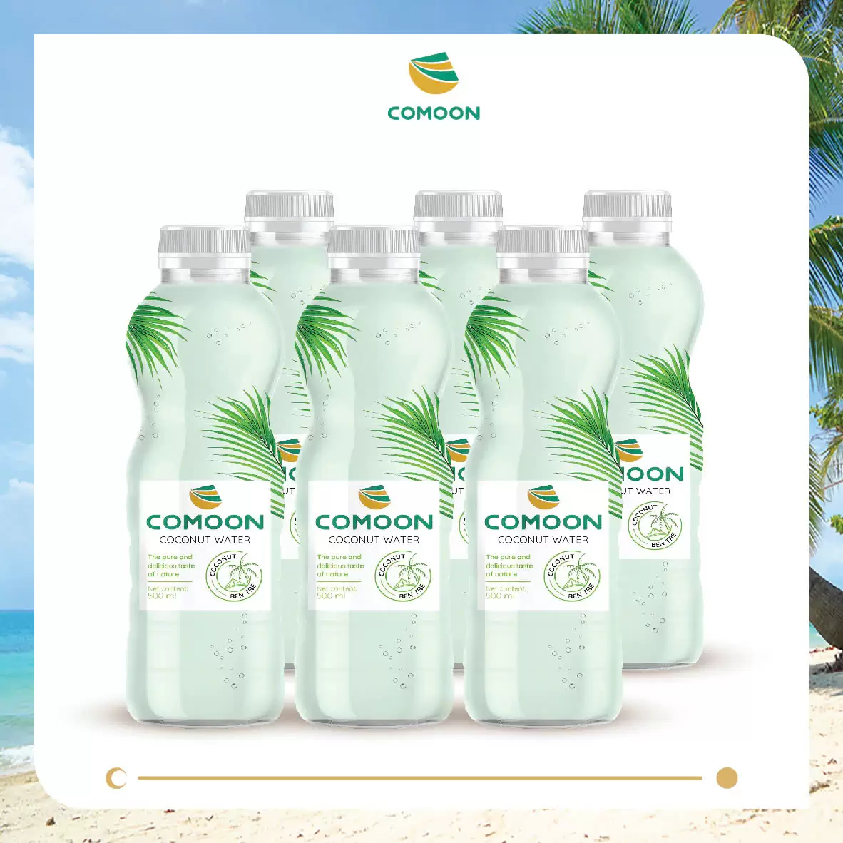 LỐC 06 CHAI NƯỚC DỪA COMOON