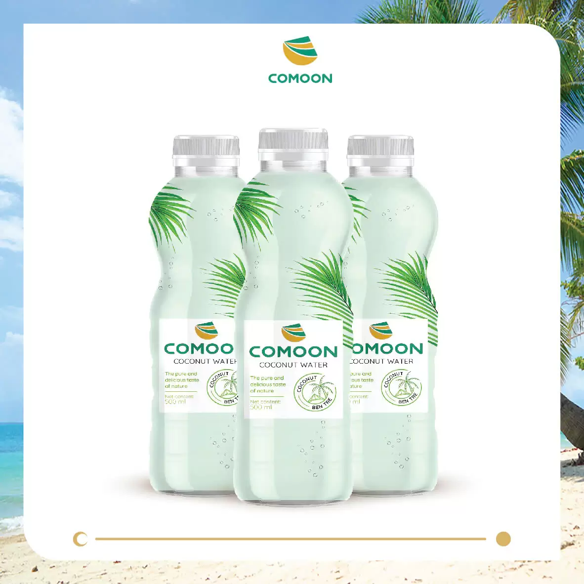 LỐC 03 CHAI NƯỚC DỪA COMOON