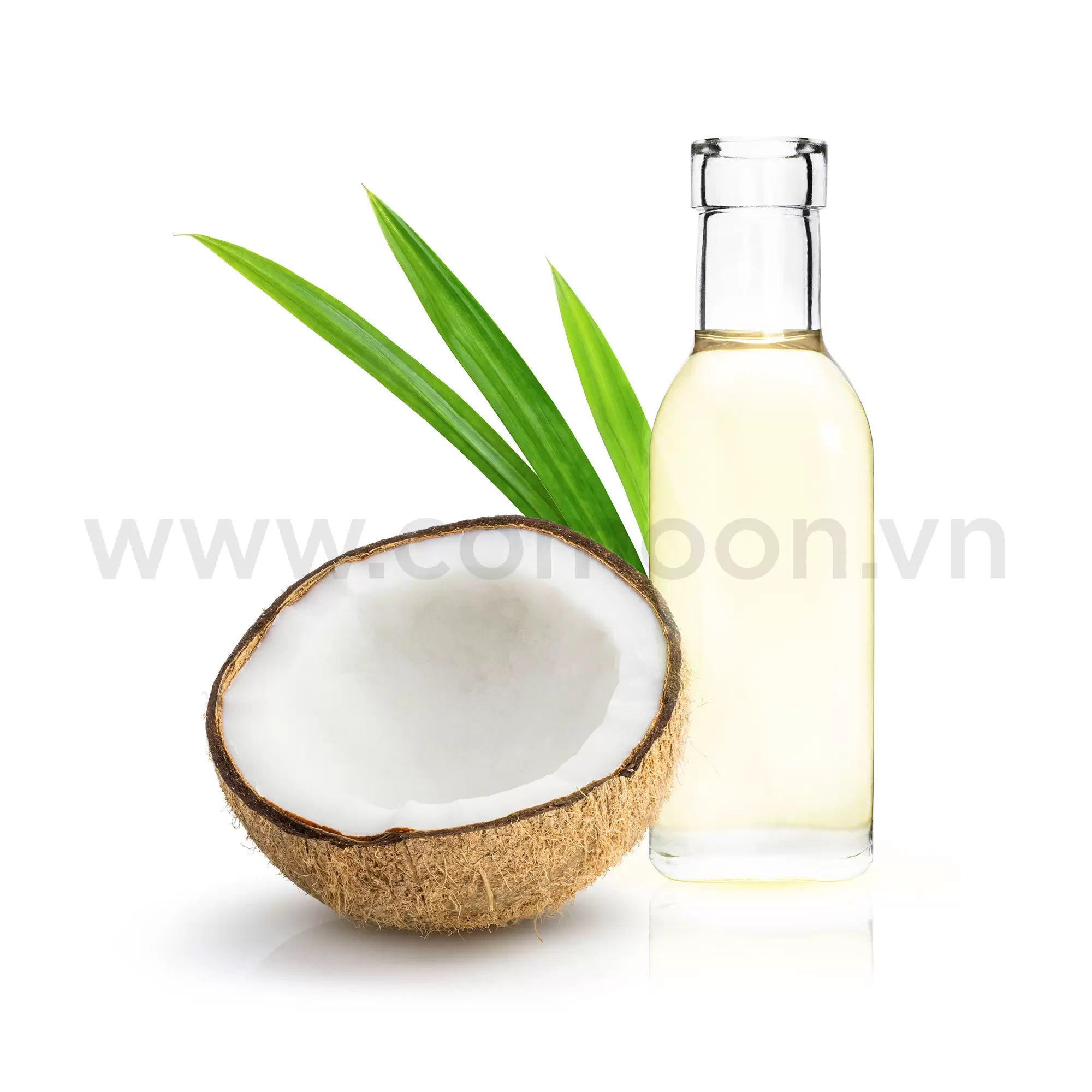 DẦU DỪA TINH LUYỆN