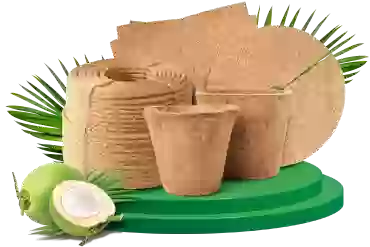 Sản Phẩm Nông Nghiệp Từ Dừa